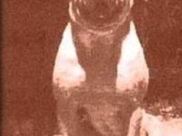 1122