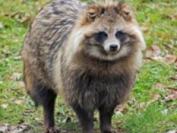 1655