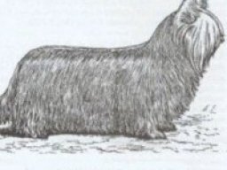 1706