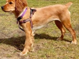 1825