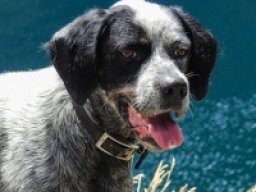 2098