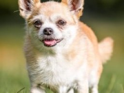 2192