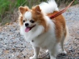 2193