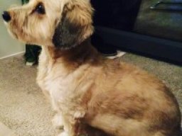 2273
