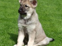 2552