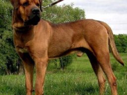 260