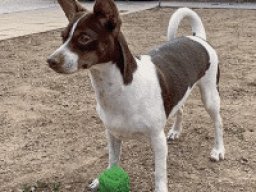2888