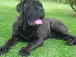 2899