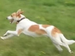 2984