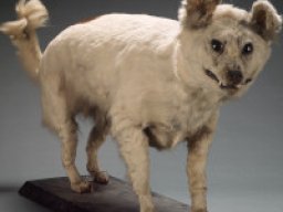 2988