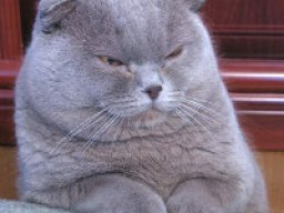 3039