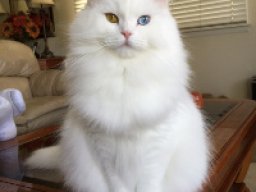 3059