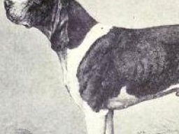3255