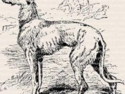 3258