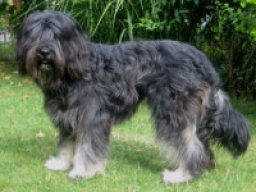 93