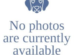 pasdephoto_en