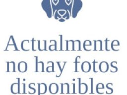 pasdephoto_es