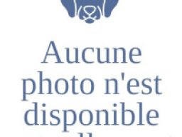 pasdephoto_fr
