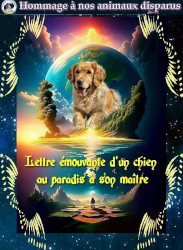 Lettre d'un chien