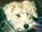 Portrait de milouchouchou