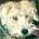 Portrait de milouchouchou